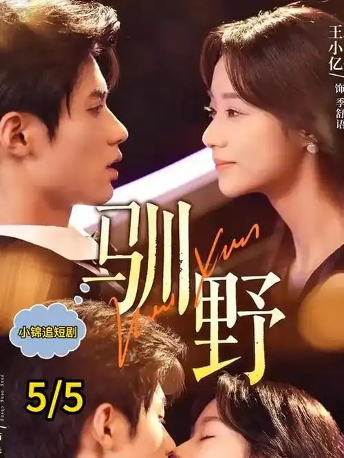 白塔之下 热播电视剧全集